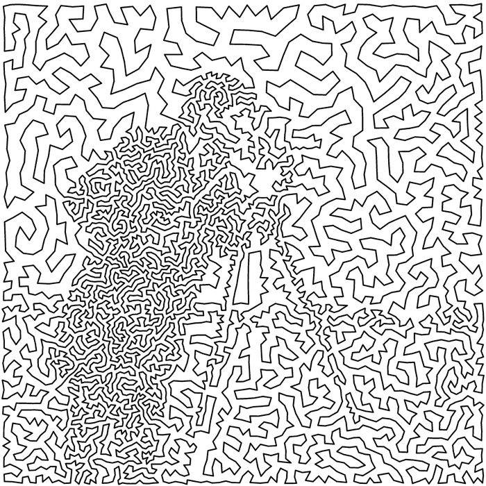 Under-resolved drawing at 5000 points