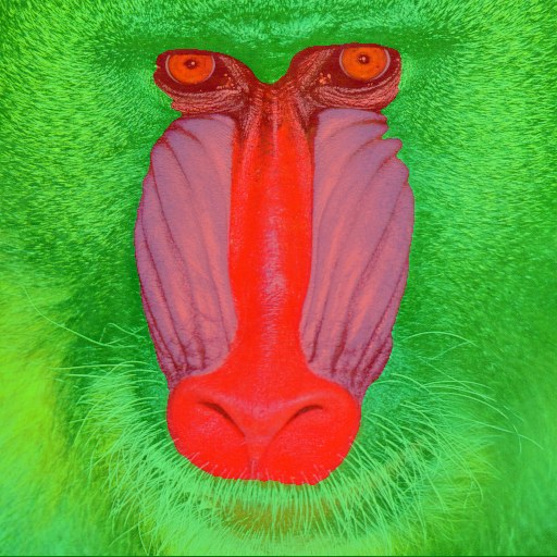 Segmentation mask shown over the source photograph