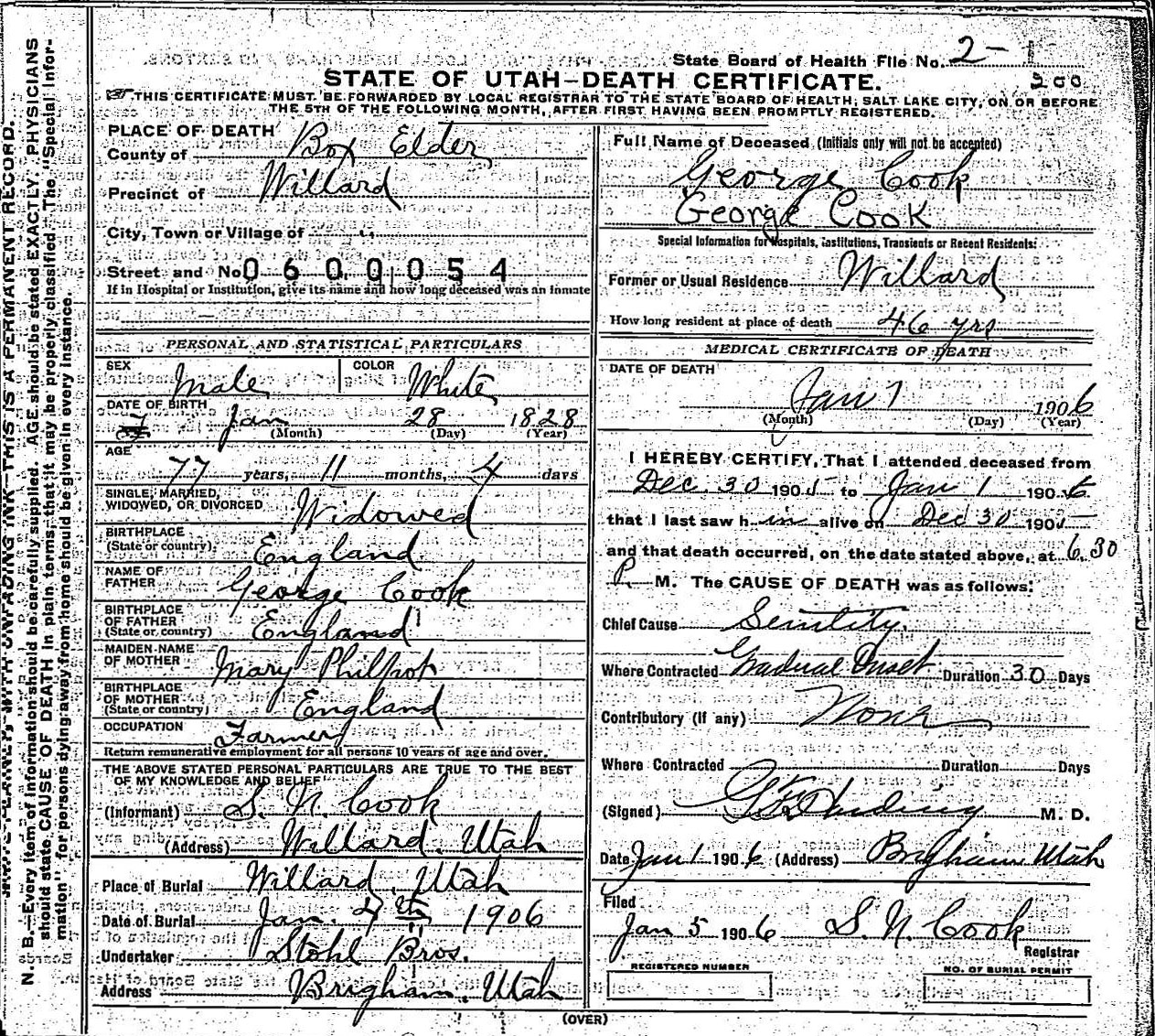 1906_george_cook.jpeg